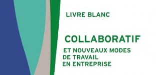 Travail Collaboratif, demandez le livre blanc !